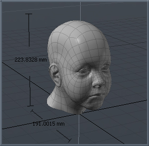 Head